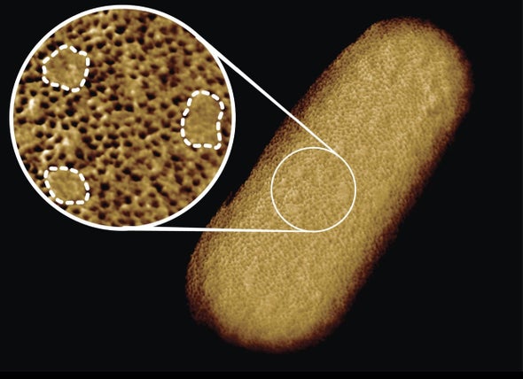 تساعد تلك الصورة الواضحة على استكشاف الغلاف الواقي بشكل أكبر Credit: BENN ET AL. UCL