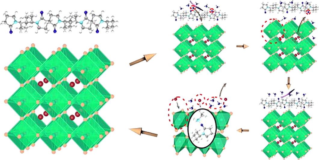 علماء يكتشفون طرقًا تجعل خلايا البيروفسكايت الشمسية لها القدرة على “الشفاء الذاتي”