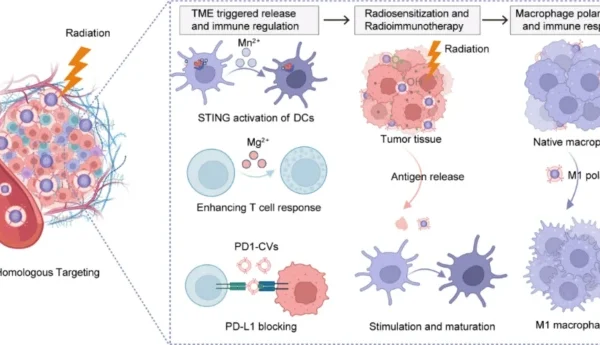 جسيمات نانوية مُهندَسة وراثيًا من المغنيسيوم والمنغنيز لعلاج السرطان بالإشعاع والمناعة