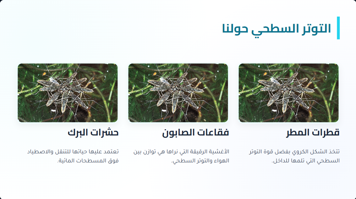 كيف يستطيع الماء أن يحمل دبوسًا معدنيًا فوق سطحه؟